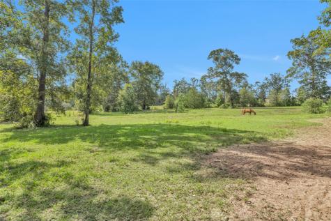 10810 Farrell Road Willis TX 77378