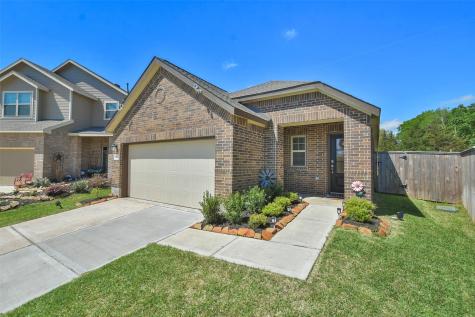24046 Steep Climb Drive Hockley TX 77447