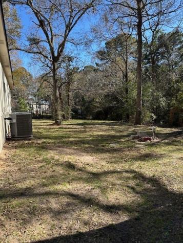 4452 Grand Oaks Drive Willis TX 77378