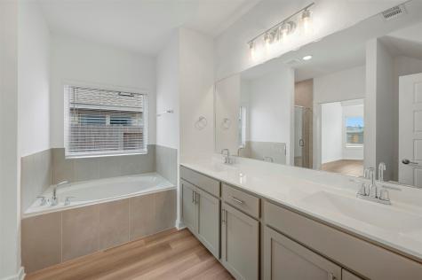 22620 Hackberry Leaf Drive New Caney TX 77357