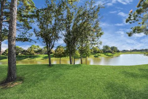 12506 Short Springs Drive Pearland TX 77584