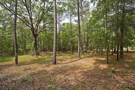 15674 Shatterway Lane Willis TX 77318