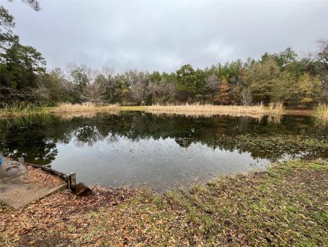 15674 Shatterway Lane Willis TX 77318