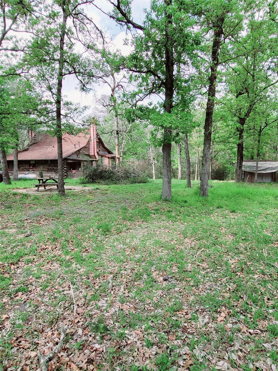 60 Houston Drive Huntsville TX 77320