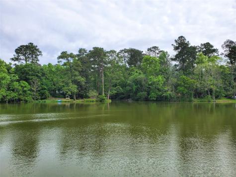 238 Lakeside Court Goodrich TX 77335