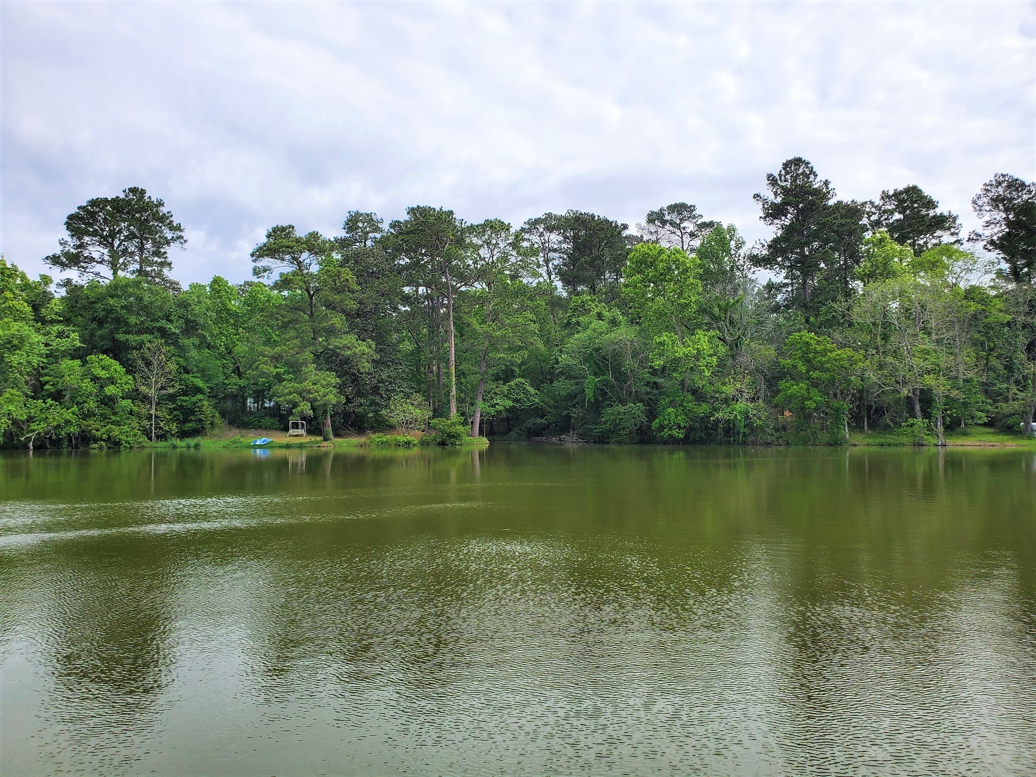 238 Lakeside Court Goodrich TX 77335