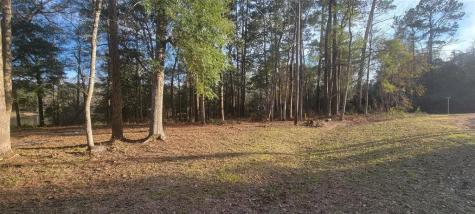 250 Wood Haven Livingston TX 77351