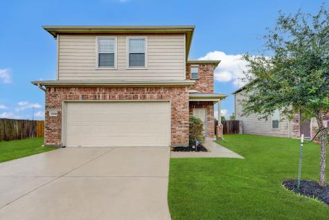 12338 Skyview Amber Court Houston TX 77047