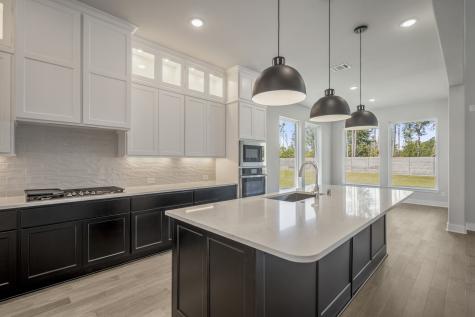 17202 Blooming Suzans Lane Conroe TX 77302