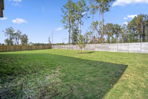 17202 Blooming Suzans Lane Conroe TX 77302