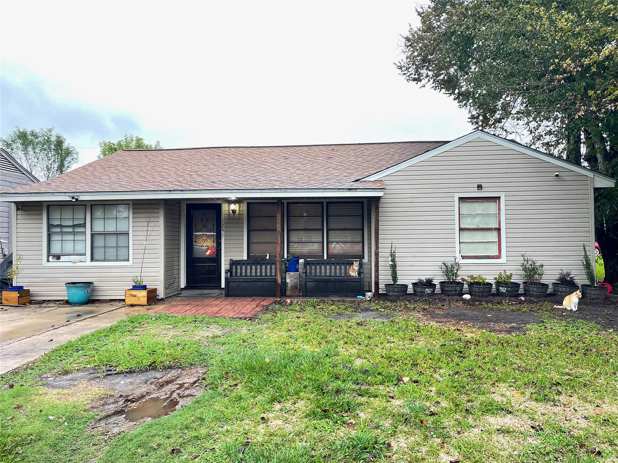 1241 San Felipe Street Angleton TX 77515