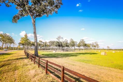 3280 N Fm 450 Hallsville TX 75650