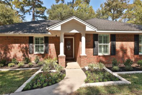 21802 Fearless Drive Hockley TX 77447