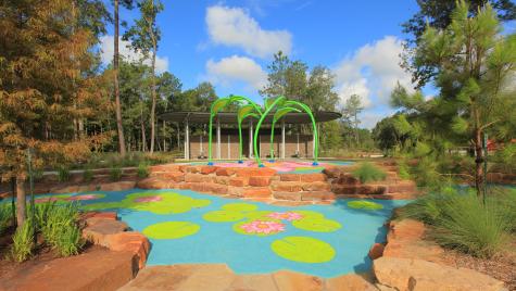18422 Chameleon Court Conroe TX 77302