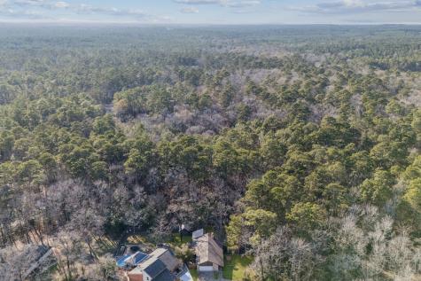 24617 Camwood Road Huntsville TX 77320
