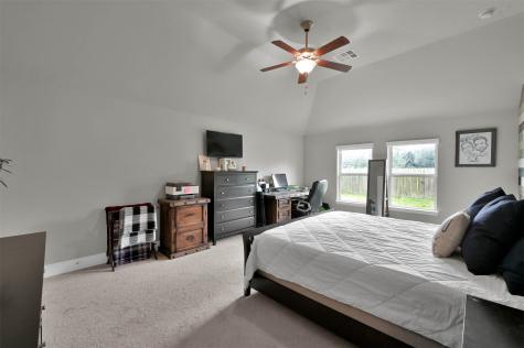 11119 English Holly Court Tomball TX 77375