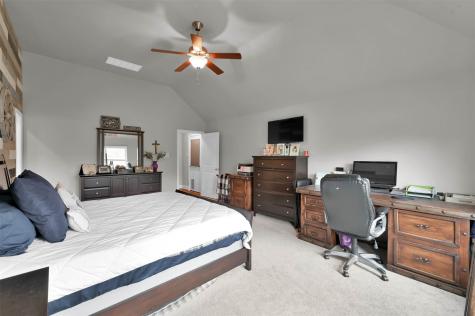 11119 English Holly Court Tomball TX 77375