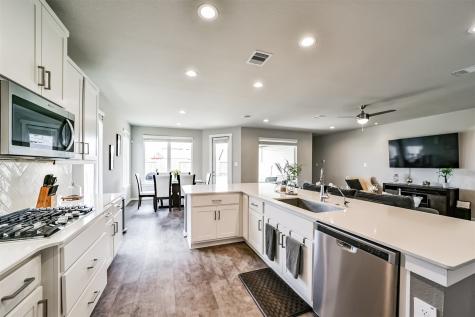 29510 Red Rocks Park Drive Katy TX 77494