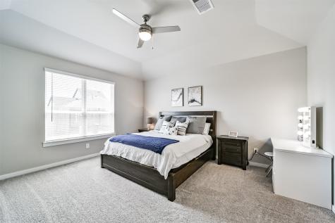 29510 Red Rocks Park Drive Katy TX 77494