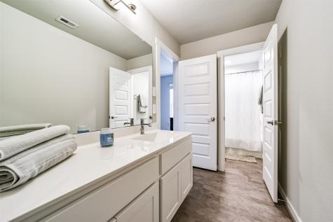 29510 Red Rocks Park Drive Katy TX 77494