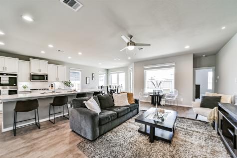 29510 Red Rocks Park Drive Katy TX 77494