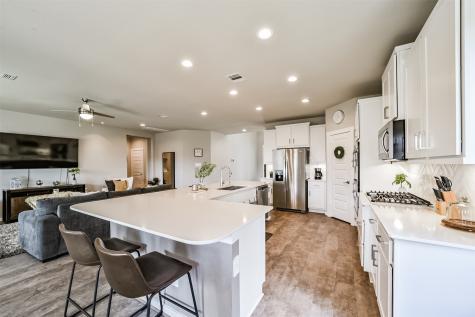 29510 Red Rocks Park Drive Katy TX 77494