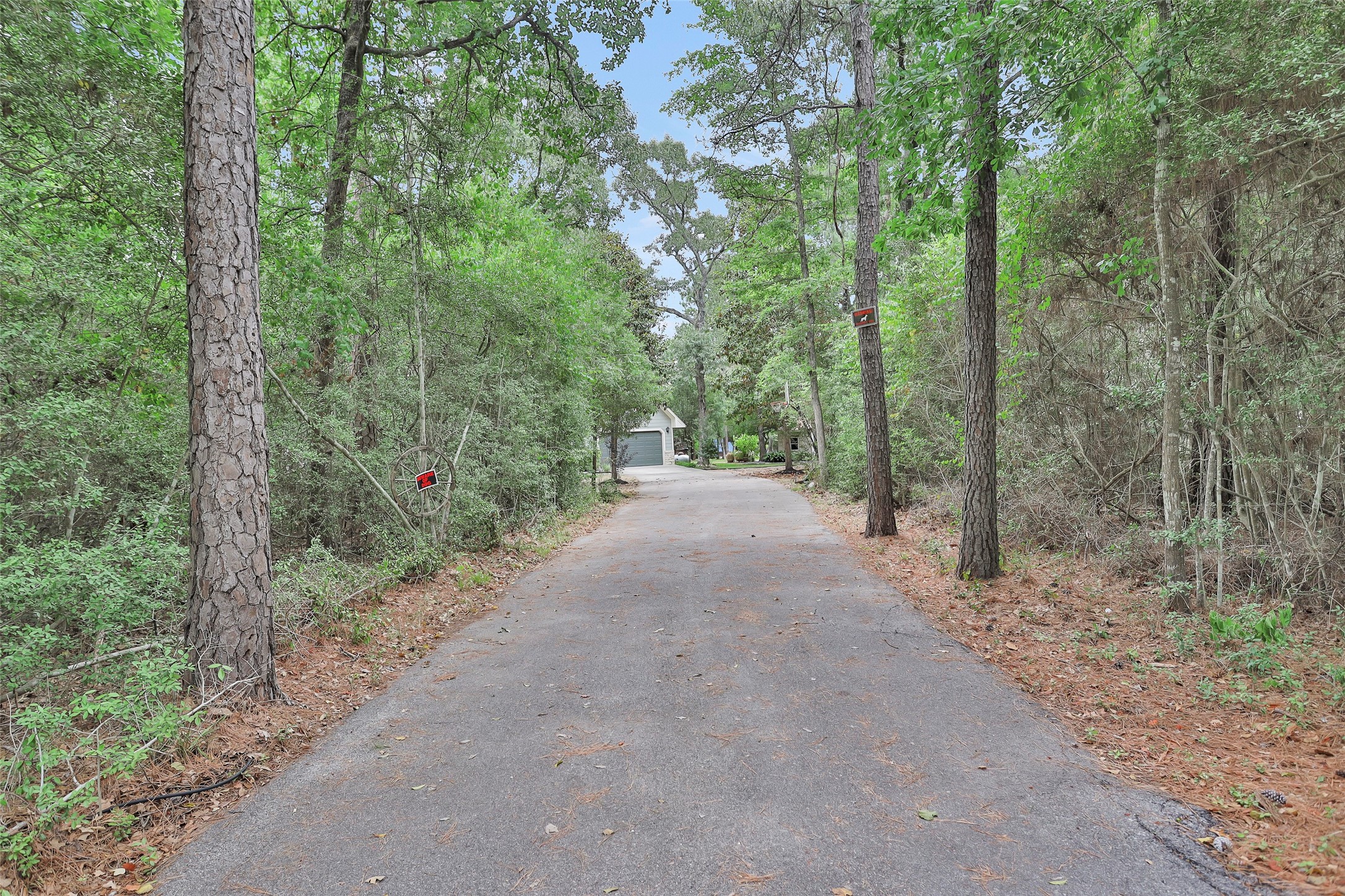 16831 Cedar Road Plantersville TX 77363