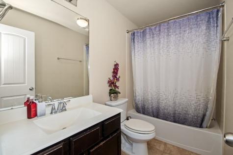 1815 Seville Manor Fresno TX 77545