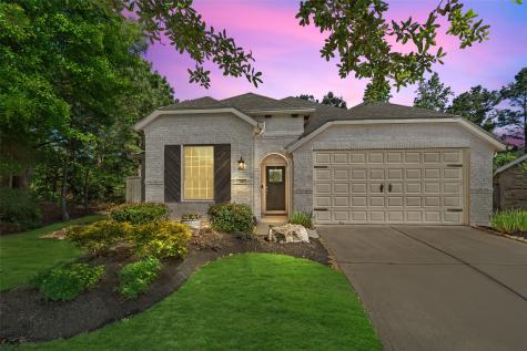 203 Black Hickory Court Montgomery TX 77316