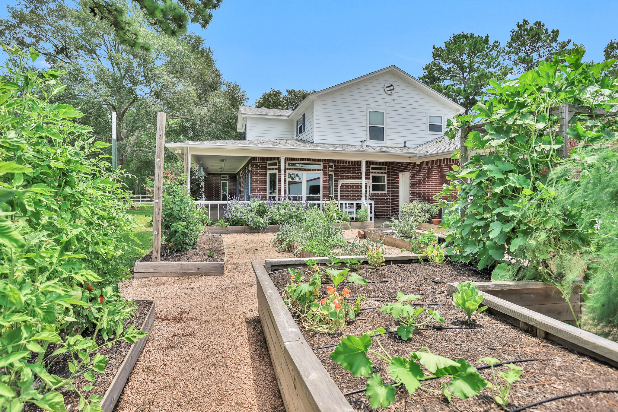 6318 Mount Zion Road New Waverly TX 77358