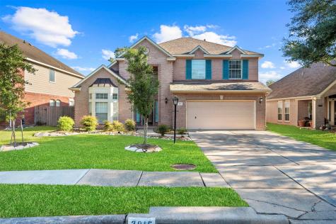 3915 Shadow Cove Drive Houston TX 77082