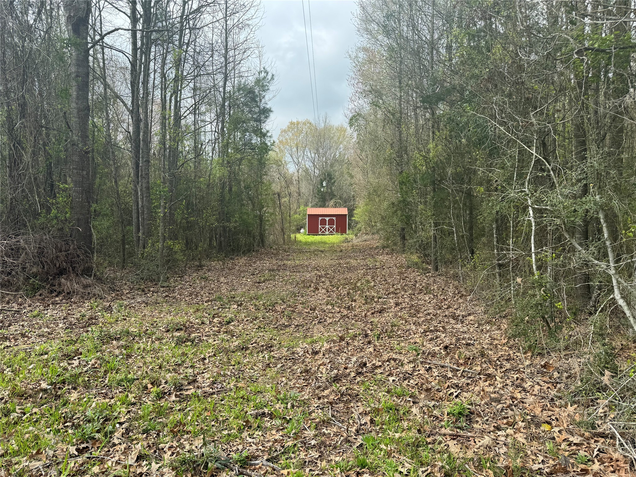 1817 County Road 392 Nacogdoches TX 75961