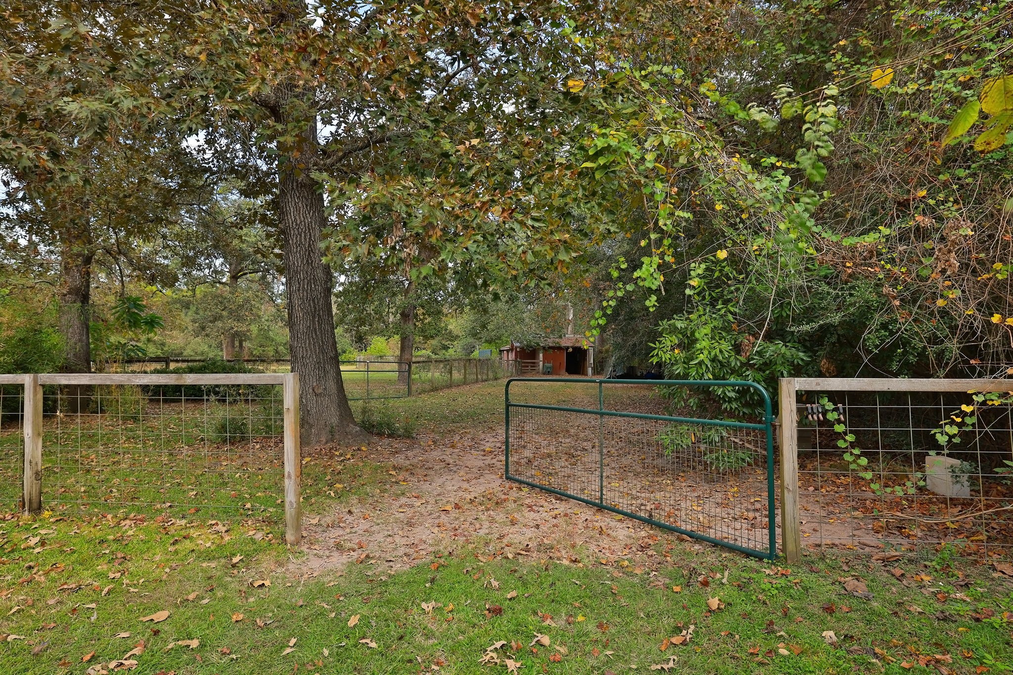 610 Tall Pines Drive Magnolia TX 77354