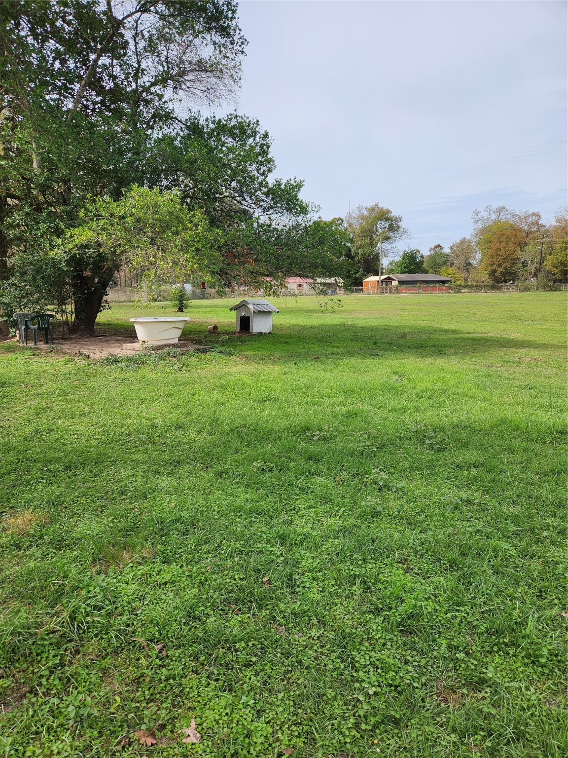 109 Baletka Boulevard Livingston TX 77351