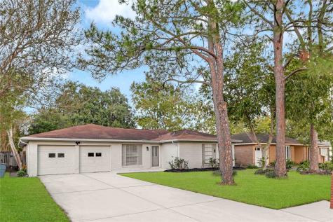 16819 Tibet Road Friendswood TX 77546