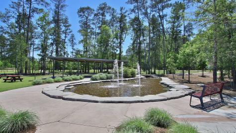 119 Sierra Stream Court Conroe TX 77304
