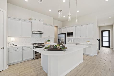 1919 Waters Branch Drive Missouri City TX 77459