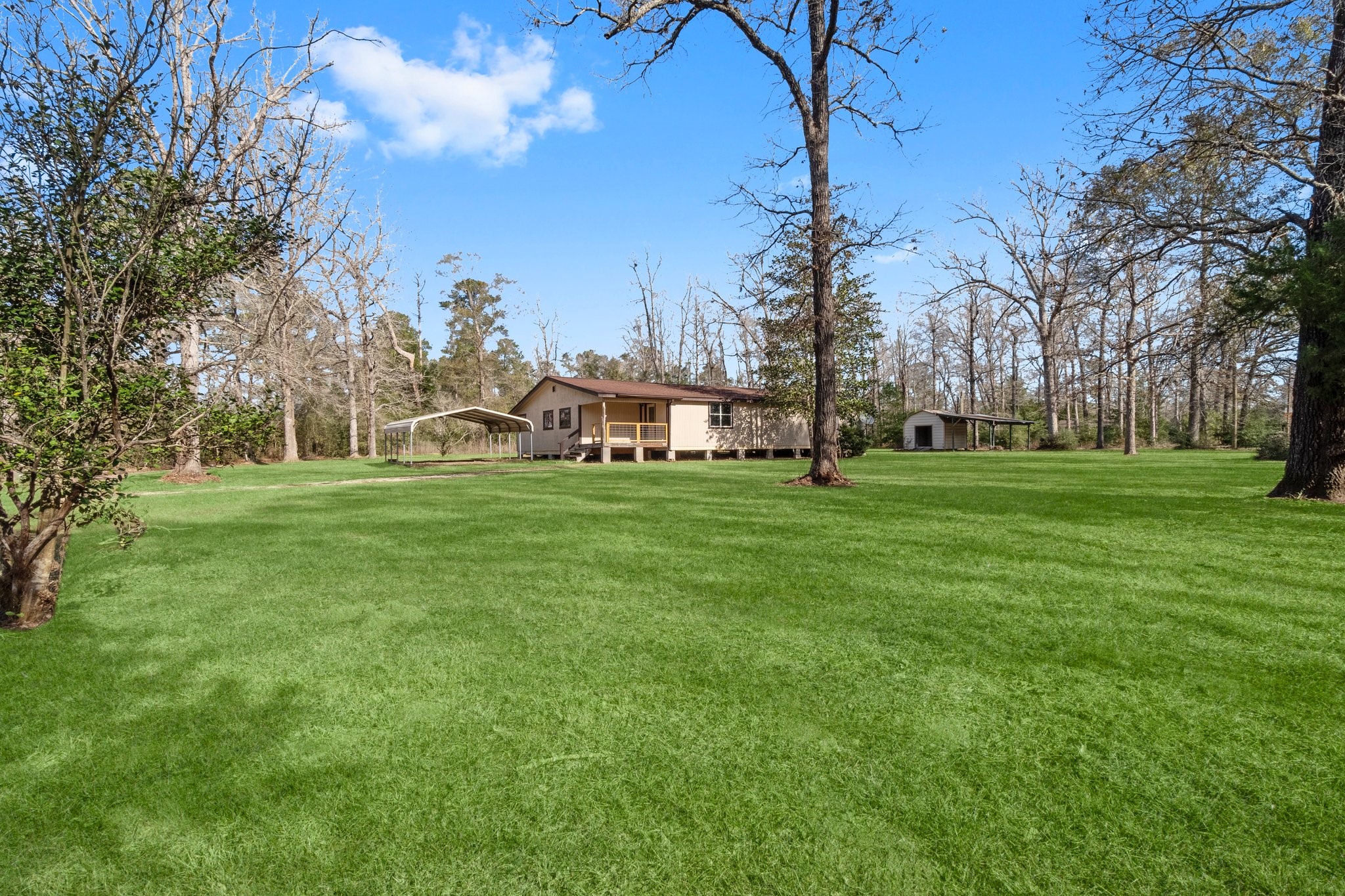 160 Forest Springs Livingston TX 77351