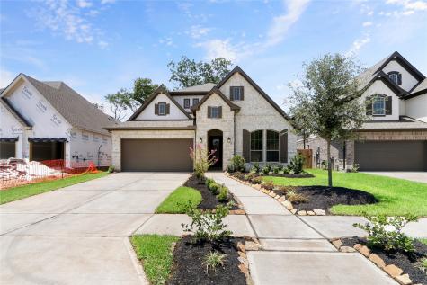1411 Emma Lake Drive Missouri City TX 77459