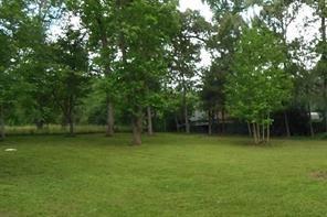 30619 Hazy Meadow Drive Magnolia TX 77354