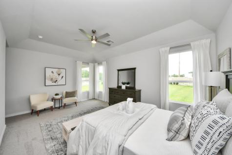 2142 Emerald Diamond Court Fresno TX 77545