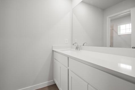 26247 Venus Trap Trail Katy TX 77493