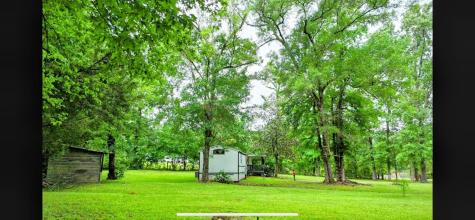 205 Collin Street Livingston TX 77351