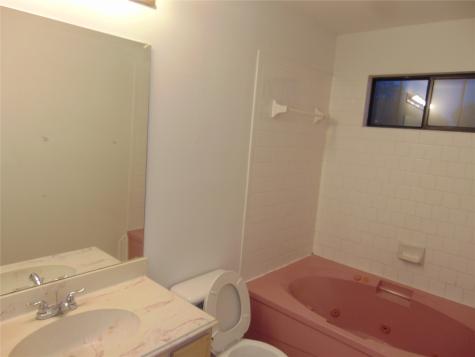 8603 Rustling Lvs Drive Houston TX 77083