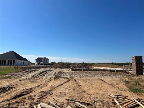 4009 Pear Tree Way Pearland TX 77581