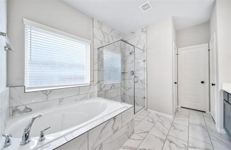 215 Little Dog Drive Montgomery TX 77356