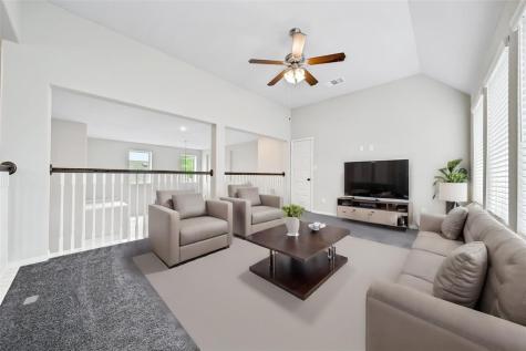 215 Little Dog Drive Montgomery TX 77356