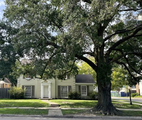 1804 Norfolk Street Houston TX 77098