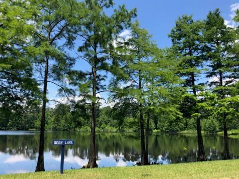 1016 Shoal Creek Trail Conroe TX 77304