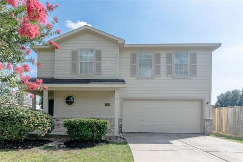 29023 San Jacinto River Court Spring TX 77386